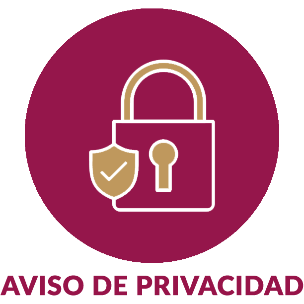 Descripción: Resultado de imagen de AVISO DE PRIVACIDAD ICONO